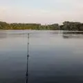 carsonm