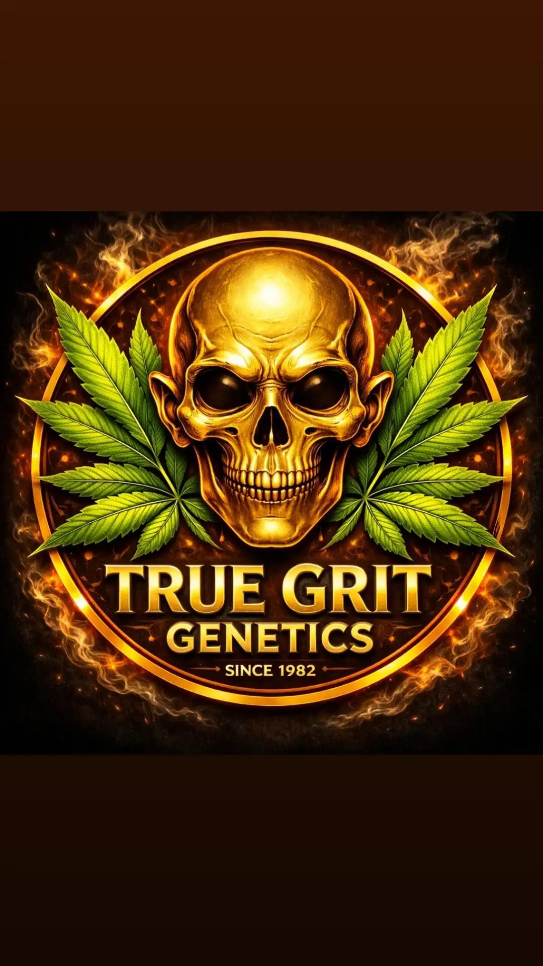 truegritgenetics
