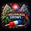 FIRECRACKER