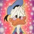 donaldduck