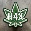 _H4X_