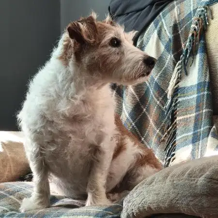 OldFella