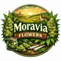MoraviaFlowers