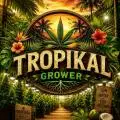 Tropikal_G