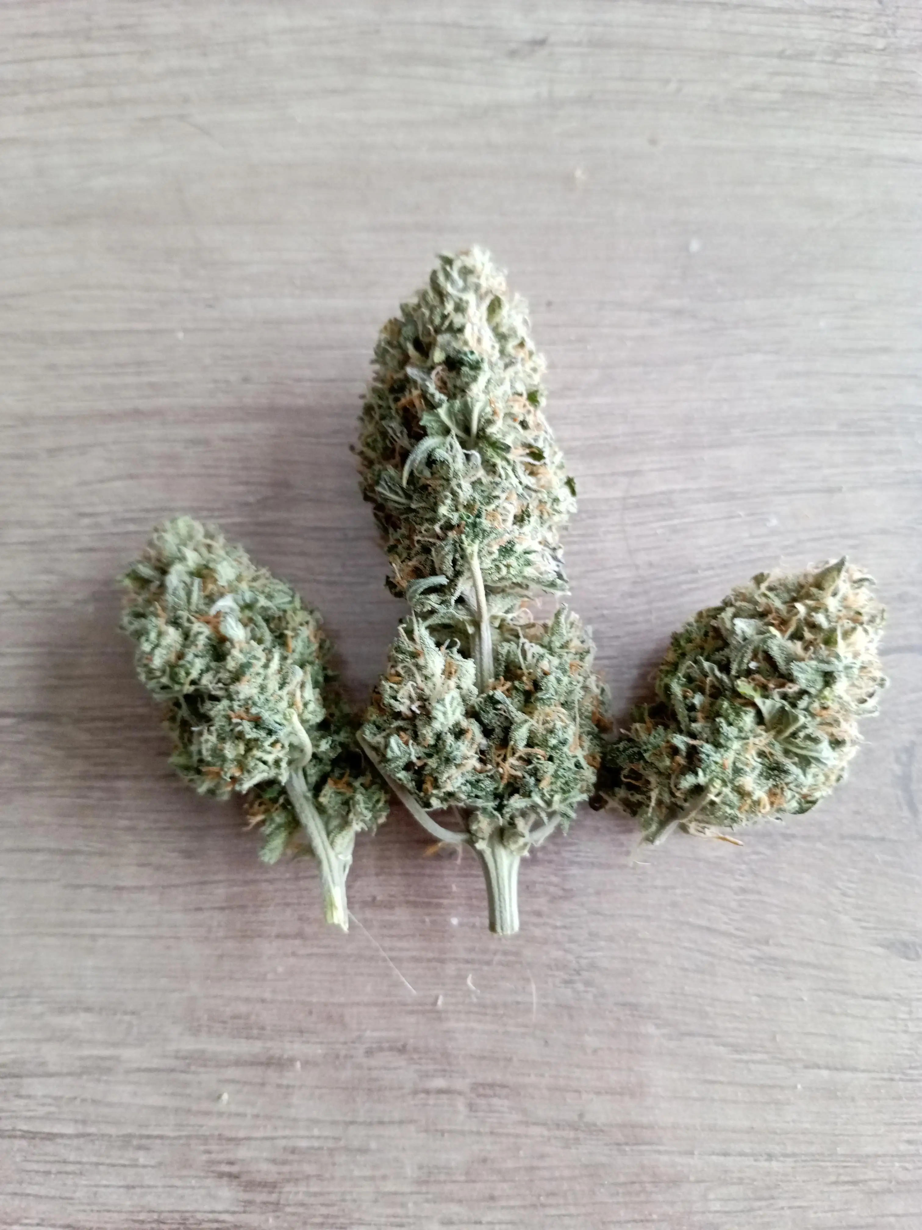 420CLUB