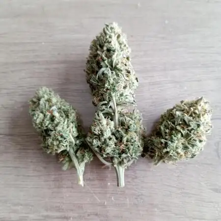 420CLUB
