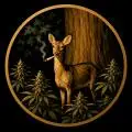 ridgeleaf