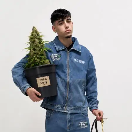 lito_lv