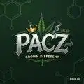 Pacz-