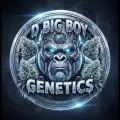 D_BIG_BOY_GENETICS