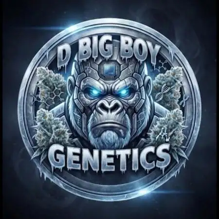 D_BIG_BOY_GENETICS
