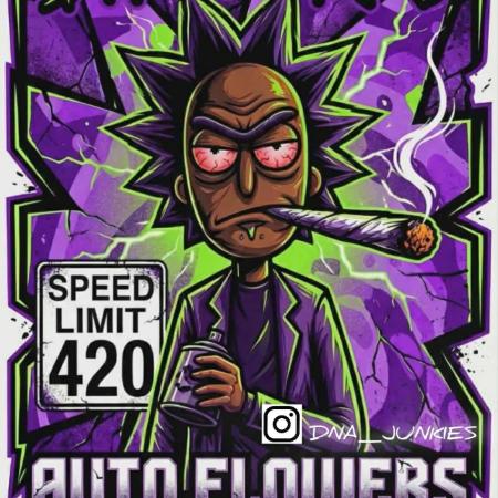 420DNAJUNKIES