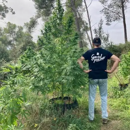 cannautism