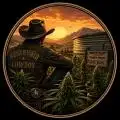 ReservoirCowboy