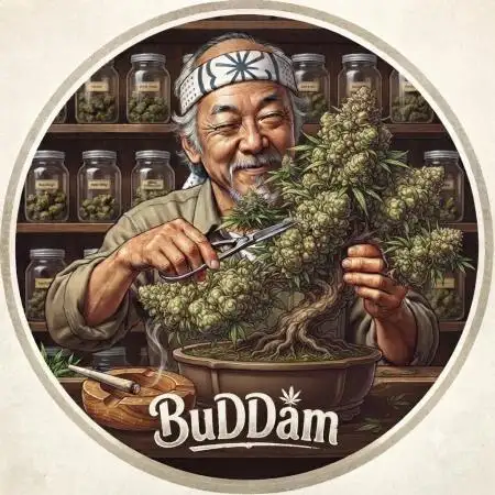 BUDDam