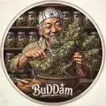 BUDDam