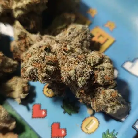 Smallbuds