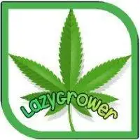 Lazygrower27