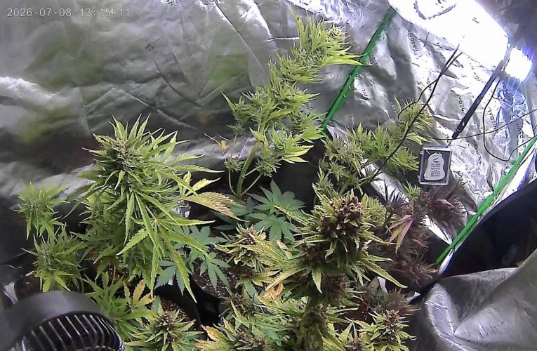 null door Big_Buds