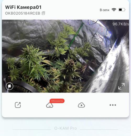 null door Big_Buds