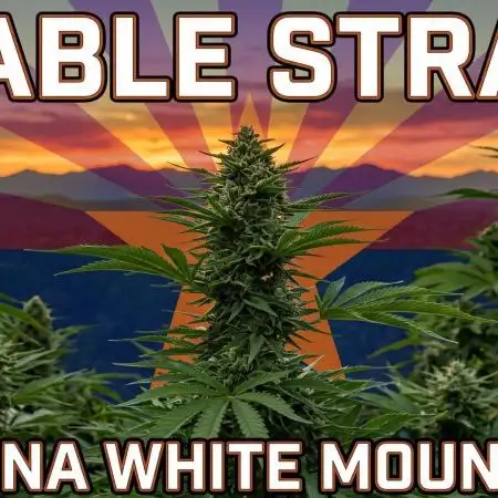 Chriscannabis