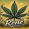REgrowNE