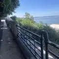 Didierdelyon