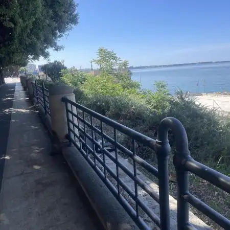 Didierdelyon
