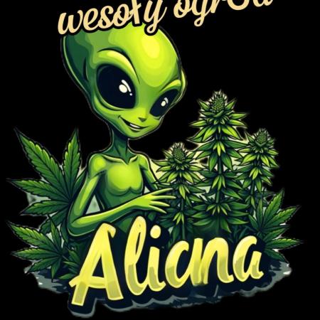 Alien84