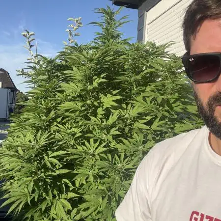 Mr_Greenthumb1987