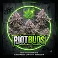 riotbuds
