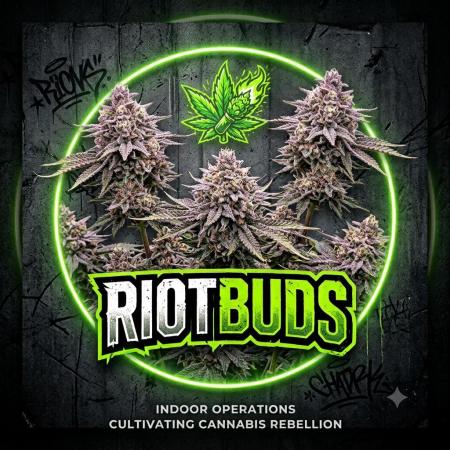 riotbuds