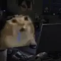20pcNugget