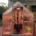 Glasshousefarmer