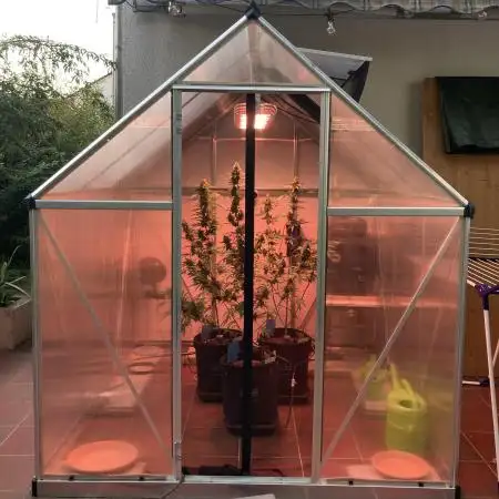 Glasshousefarmer