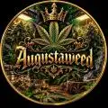 augustaweed