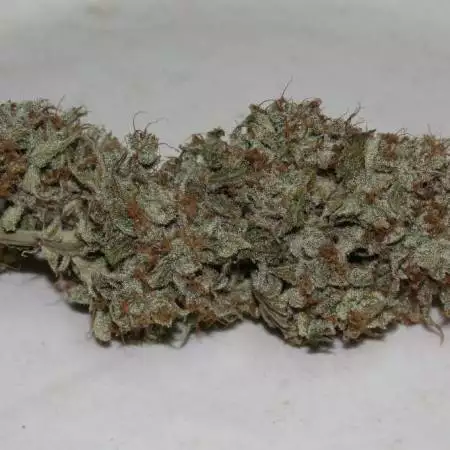 grogreen420