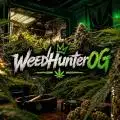 weedHunterOG