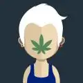 MoGrows_