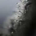 Soil