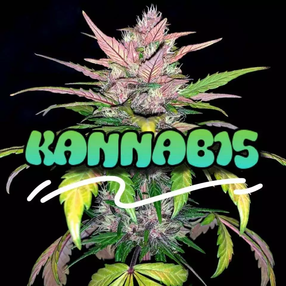 kannab15