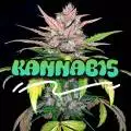 kannab15