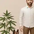 Panchogrows