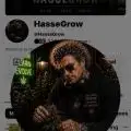 HASSE4EVER