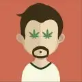 LeprechaunGrow