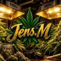 JensM