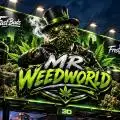 MrWeedWorld