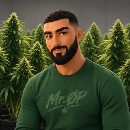Mr_OP_Grow