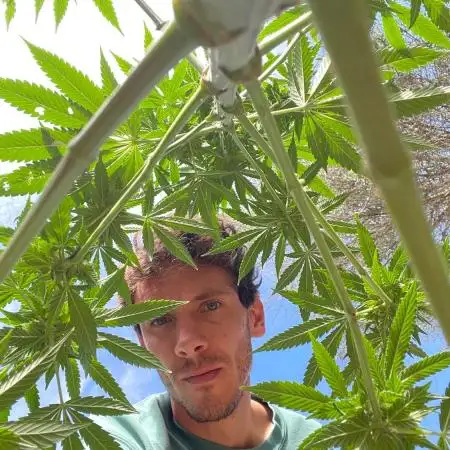 Bennyjuana