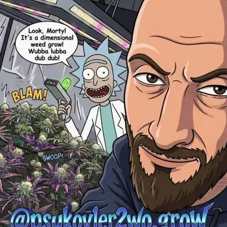 psykov1er2wo_grow